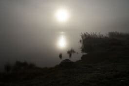 mercedes ln2 1124af expedition truck