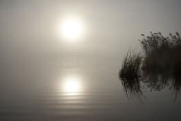 mercedes ln2 1124af expedition truck