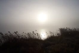 mercedes ln2 1124af expedition truck