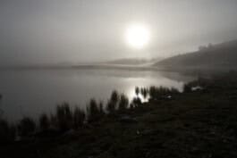 mercedes ln2 1124af expedition truck