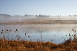  mercedes ln2 1124af expedition truck