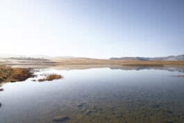 mercedes ln2 1124af expedition truck