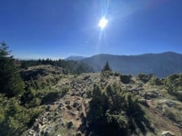 mercedes ln2 1124af expedition truck