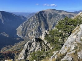 mercedes ln2 1124af expedition truck