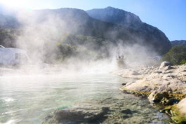 mercedes ln2 1124af expedition truck