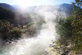 mercedes ln2 1124af expedition truck