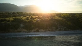 mercedes ln2 1124af expedition truck