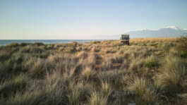 mercedes ln2 1124af expedition truck