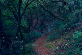 mercedes ln2 1124af expedition truck