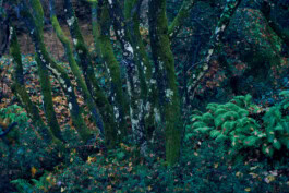 mercedes ln2 1124af expedition truck