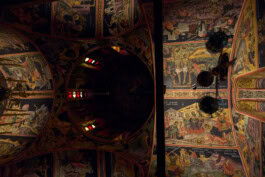 mercedes ln2 1124af expedition truck