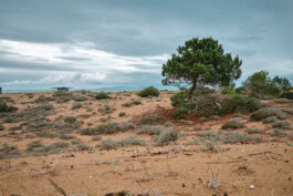 mercedes ln2 1124af expedition truck