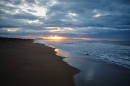 mercedes ln2 1124af expedition truck