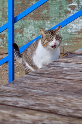 mercedes ln2 1124af expedition truck