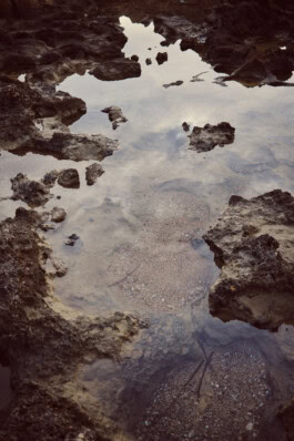 mercedes ln2 1124af expedition truck