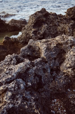 mercedes ln2 1124af expedition truck