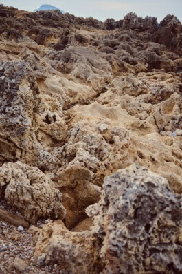 mercedes ln2 1124af expedition truck