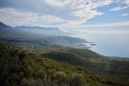 mercedes ln2 1124af expedition truck