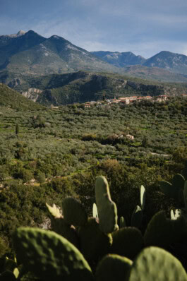 mercedes ln2 1124af expedition truck