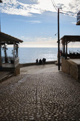 mercedes ln2 1124af expedition truck