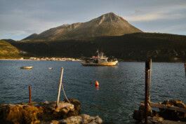  mercedes ln2 1124af expedition truck