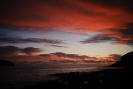 mercedes ln2 1124af expedition truck