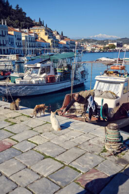 mercedes ln2 1124af expedition truck