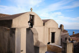 mercedes ln2 1124af expedition truck