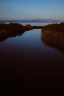 mercedes ln2 1124af expedition truck