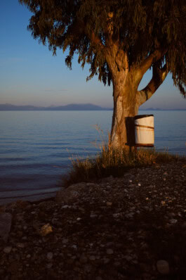 mercedes ln2 1124af expedition truck