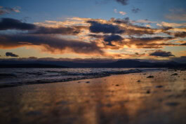 mercedes ln2 1124af expedition truck