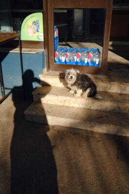 mercedes ln2 1124af expedition truck