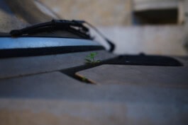 mercedes ln2 1124af expedition truck