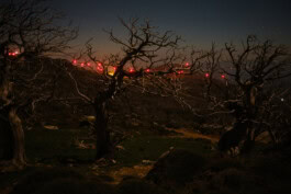 mercedes ln2 1124af expedition truck