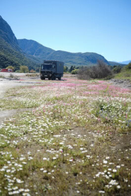 mercedes ln2 1124af expedition truck