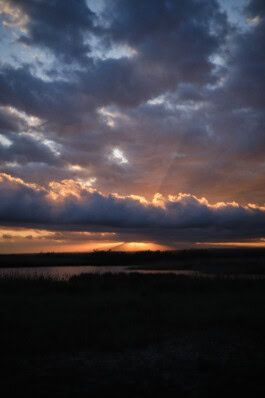 mercedes ln2 1124af expedition truck