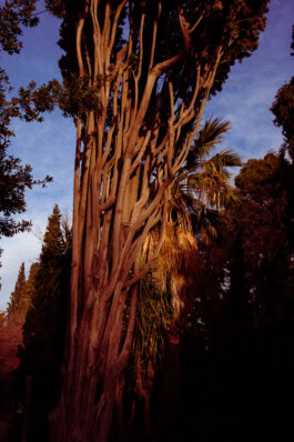 mercedes ln2 1124af expedition truck