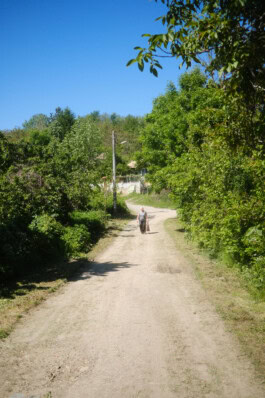  mercedes ln2 1124af expedition truck