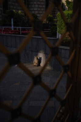  mercedes ln2 1124af expedition truck