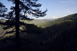  mercedes ln2 1124af expedition truck