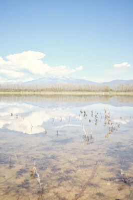  mercedes ln2 1124af expedition truck