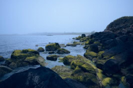  mercedes ln2 1124af expedition truck