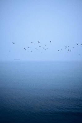  mercedes ln2 1124af expedition truck