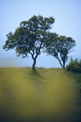  mercedes ln2 1124af expedition truck