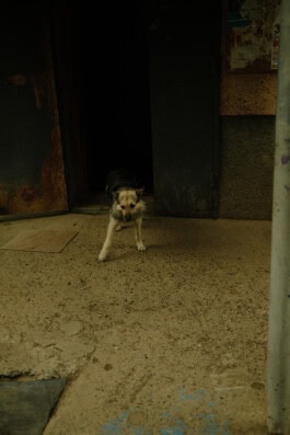  mercedes ln2 1124af expedition truck