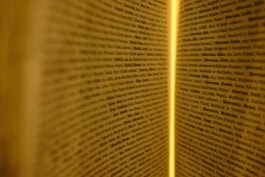  mercedes ln2 1124af expedition truck