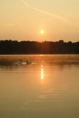  mercedes ln2 1124af expedition truck