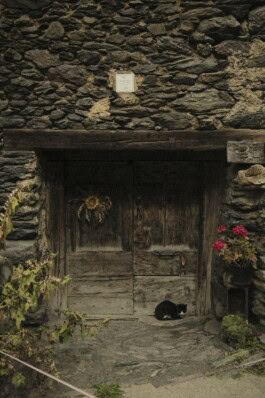mercedes ln2 1124af expedition truck